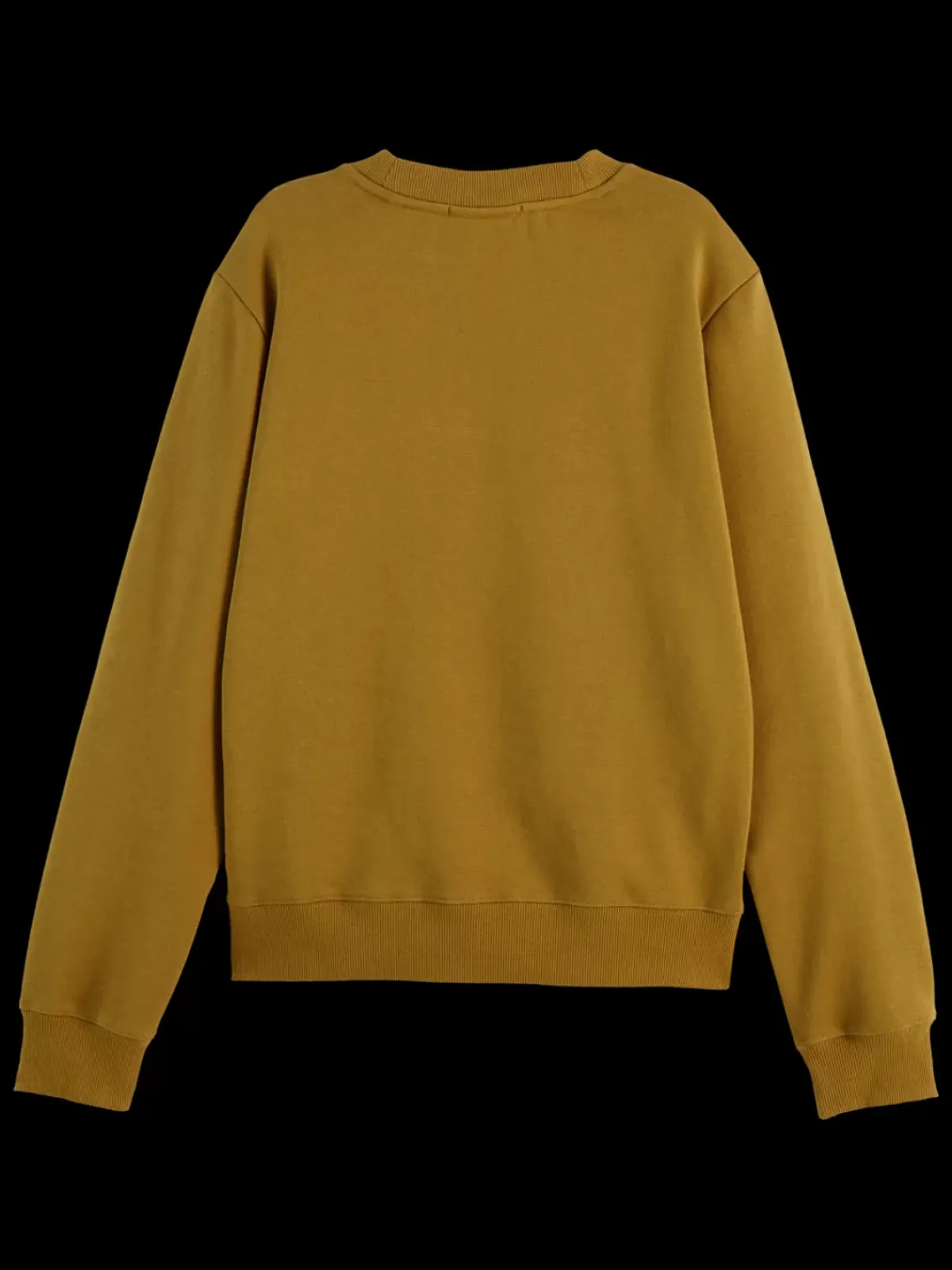 New EMBROIDERED REGULAR FIT SWEATSHIRT Women Sweatshirts & Hoodies