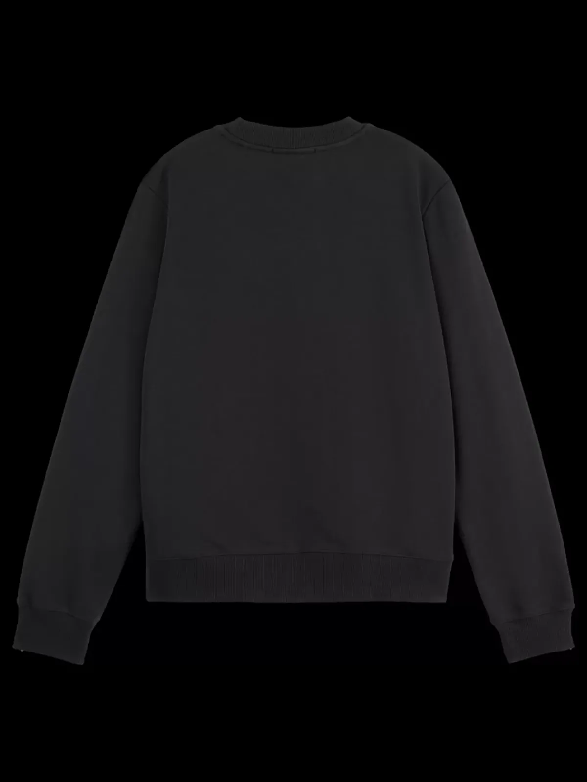 New EMBROIDERED REGULAR FIT SWEATSHIRT Women Sweatshirts & Hoodies