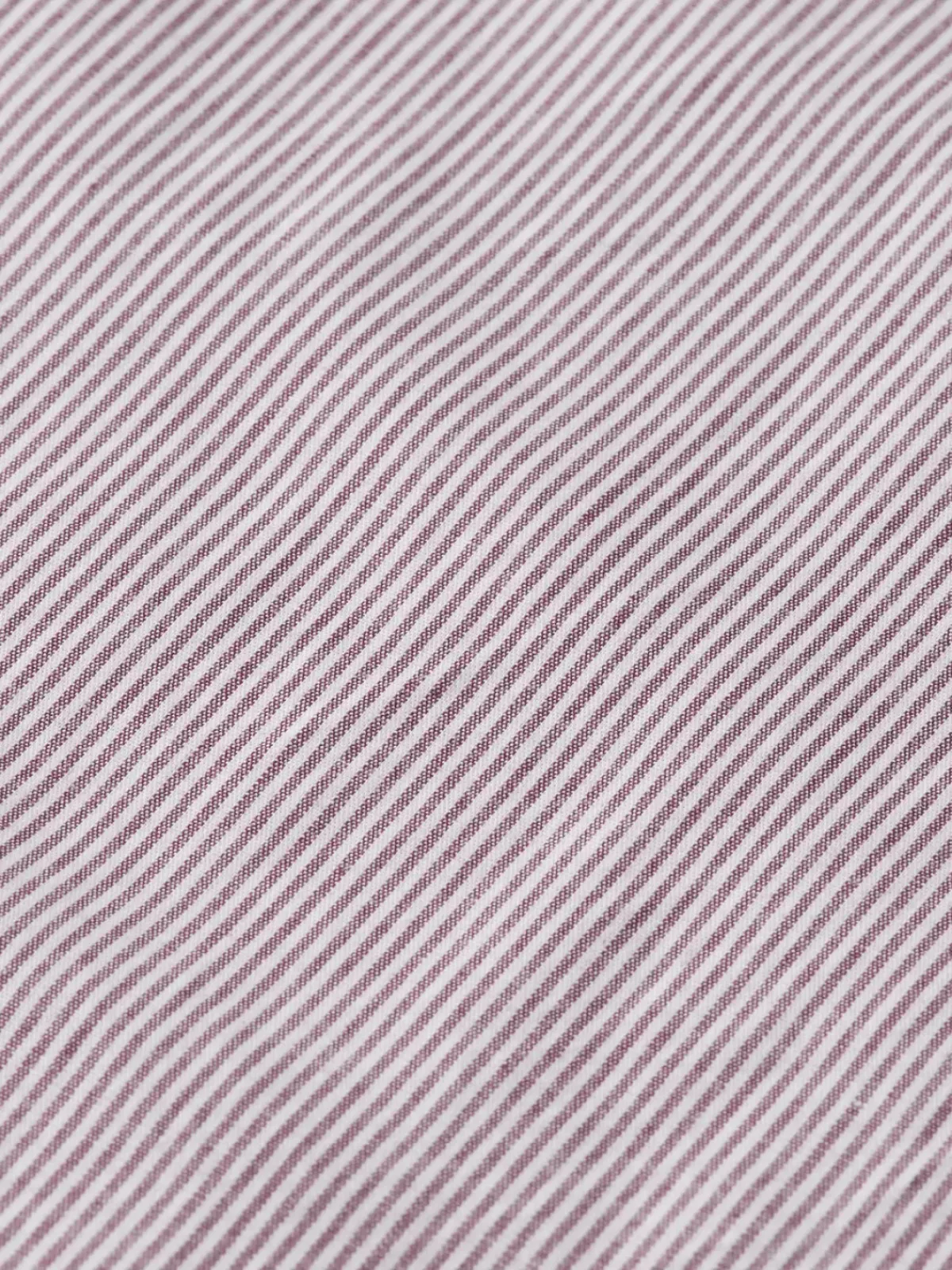 New POPLIN STRIPE Shirts