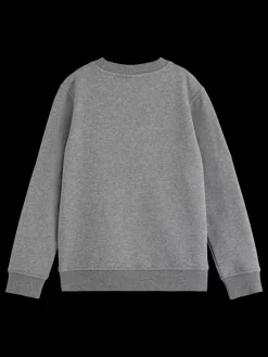 New REGULAR-FIT ARTWORK CREWNECK Kids/BOY Sweatshirts & Hoodies